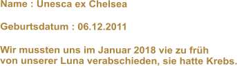 Name : Unesca ex Chelsea          Geburtsdatum : 06.12.2011    Wir mussten uns im Januar 2018 vie zu frh von unserer Luna verabschieden, sie hatte Krebs.